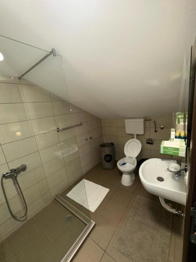 Jp Motel Mali Pariz Bor Zewnętrze zdjęcie
